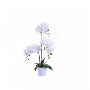 Bonita decoración de sala de estar Deliciosa planta variada molde Monstera nueva orquídea Artificial bonsái flores hechas de plástico duradero - Product Image 2