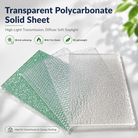 Plaque solide en polycarbonate transparent à haute transmission lumineuse, plaque PC ignifuge B1 pour serres et projets de toiture industrielle