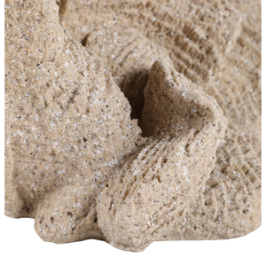Statuetta in Resina a Forma di Conchiglia con Finitura Effetto Sabbia, Decorazione Costiera per Casa, Bagno, Ufficio, Soggiorno, Esposizione su Scaffale - Product Image 6