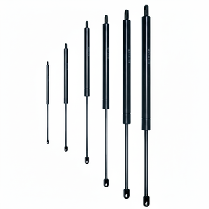 C 400 Carrera F 300 N CILINDRO OLEOPNEUMÁTICO (VO40/030) - Product Image 1