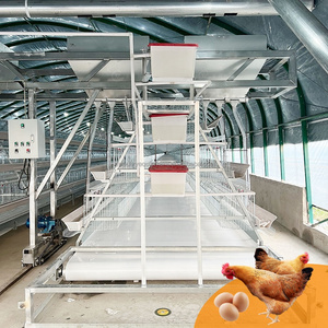 Nouvelle cage à poulets à 3 niveaux entièrement automatique <span class=keywords><strong>de</strong></span> type A en acier inoxydable galvanisé à chaud avec courroie <span class=keywords><strong>de</strong></span> nettoyage du fumier pour une économie <span class=keywords><strong>de</strong></span> main-<span class=keywords><strong>d</strong></span>'œuvre - Product Image 1