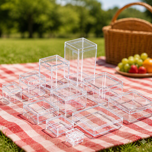 <strong>Small</strong> <strong>Clear</strong> Plastic Box Transparent Plastic Case For Packing Storage Wholesale Packaging <strong>Container</strong> - Product Image 6