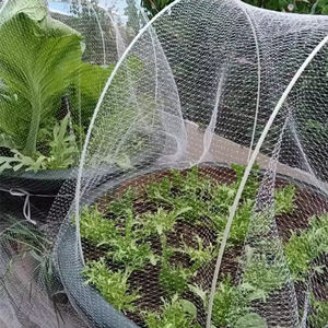 <span class=keywords><strong>Filet</strong></span> de treillis de <span class=keywords><strong>filet</strong></span> d'oiseau de jardin de plante de HDPE <span class=keywords><strong>pour</strong></span> l'arbre fruitier de plante - Product Image 1