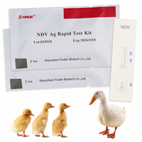 Kit de Prueba Rápida de Antígeno del Virus de la Enfermedad de Newcastle (NDV Ag) con Certificación ISO/CE, 20 Pruebas/Kit, Tiras para Pollos, Patos, Gansos y Aves de Corral, GICA