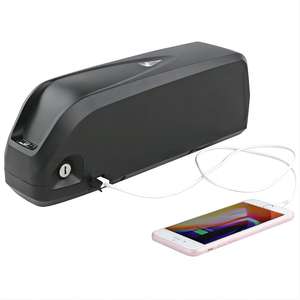 Batteria al Litio LiFePO4 12v 24v 36v 60v 72v 48v 10AH 20ah 30ah 35AH 40ah 50ah 60ah 80ah per Biciclette Elettriche e Motocicli - Product Image 1