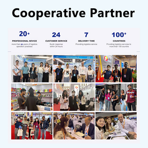 Cocok DDP Freight Forwarder untuk pengiriman truk dari pintu ke pintu dari Cina ke Jerman. - Product Image 6