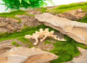 डायनासोर डिस्कवरी जीवाश्म खुदाई खेल किट टायरानोसोरस रेक्स कंकाल खिलौने और उपकरण बच्चों के लिए उपहार