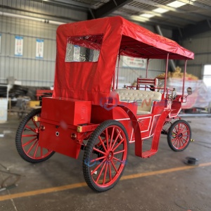 Sightseeing Carriage Victorian-style Electric Sightseeing Carriage <b>Double</b>-row Custom Multi-style Carriage Sells Well - Product Image 3