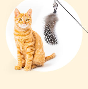 CFA Grade Spring Cat Teaser Wand con mango de madera Feather Bell Refill - Product Image 3