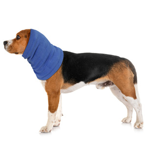 Calentador de cuello para perros, color morado, de cachemira, talla SML, para uso en exteriores. - Product Image 3