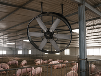 Ventilateur de circulation à panneaux haute performance pour hangar, avec moteur BLDC à entraînement direct, pour le refroidissement des porcheries