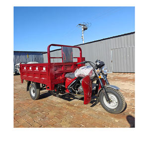 Nouveau modèle de tricycle motorisé à essence, moto populaire pour adultes, tricycle cargo à essence 175 <span class=keywords><strong>CC</strong></span> à vendre - Product Image 1