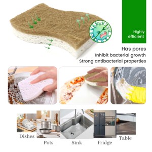 12 PACK Biologisch abbaubare natürliche Gerichte Küchen schwämme Kompost ierbarer pflanzlicher Cellulose-Kokosnuss-Walnuss-Wäscher-Schwamm - Product Image 4
