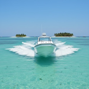 Bateau de pêche en fibre de verre Grandsea China de 32 pieds (9,6 m) avec toit rigide et console centrale, type Panga, à vendre - Product Image 3