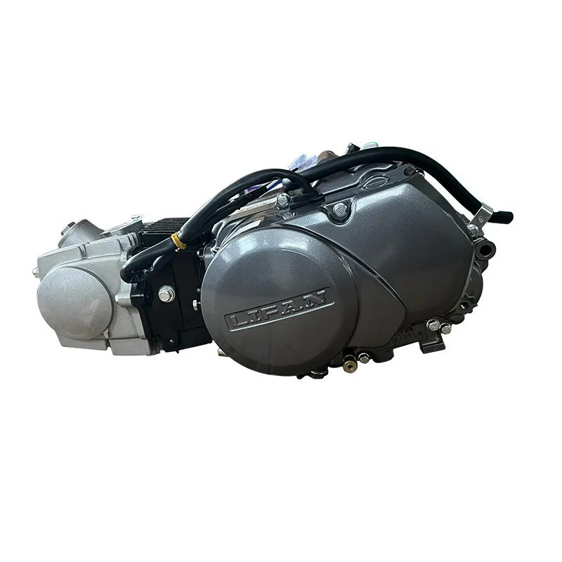 OEM China Lifan Engine Lifan 110cc Engine Electric Kick Start Motor motorcycle engines