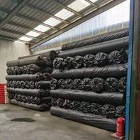 Paillis de sol en plastique noir pour couverture agricole robuste tissé en PP