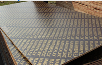 Plaques de contreplaqué de construction ignifuge en peuplier filmé, film mélaminé WBP, 1220x2440mm, 18mm, résistant à l'eau
