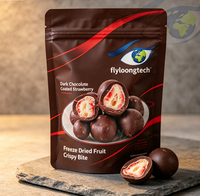 OEM & Lage MOQ Gedroogde Aardbeien Chocoladechips, Fruitchips met Donkere Chocolade Coating
