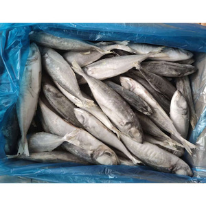 Sgombro Congelato <span class=keywords><strong>a</strong></span> Basso Prezzo, Tutte le Dimensioni, Fornitori di <span class=keywords><strong>Pesce</strong></span> Intero IQF, Fabbrica di Prodotti Ittici - Product Image 1