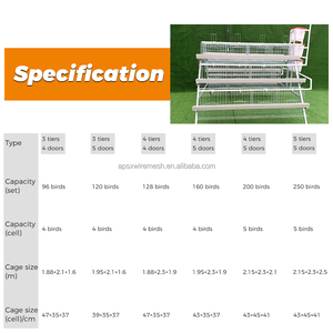 Venta de batería automática de capa de animales de pollo a tipo jaula para aves de corral <span class=keywords><strong>precio</strong></span> gallinas ponedoras de huevos cría de pollos jaula para granja avícola - Product Image 4