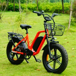 Sepeda listrik 2024 1000W Motor, ban gemuk sepeda listrik pantai salju, sepeda listrik Yolin