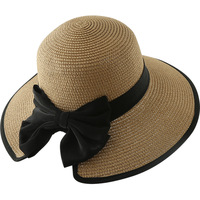 Chapeau de soleil à large bord style Ins pour l'été, chapeau de plage coréen en fourrure, chapeau Fedora qui flattere le visage, chapeau en fourrure d'inspiration française pour femme