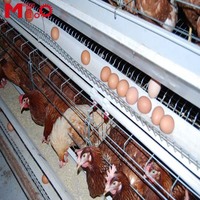 Poulailler Automatique avec Nouvelle Conception de Cage à Poules Pondeuses, Capacité de 10 000 Poulets pour Animaux