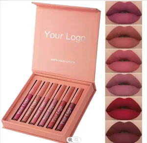 Rouge à lèvres liquide coffret cadeau rouge à lèvres mat 6 pièces velours hydratant imperméable longue durée mat Rose antiadhésif tasse brillant à lèvres