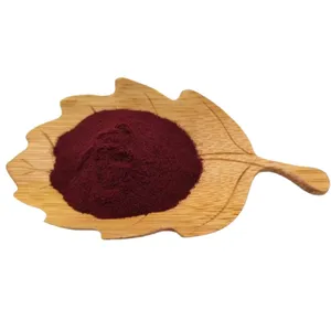 Precio al por mayor Color de cáscara de uva roja Colorante natural Extracto de piel de uva