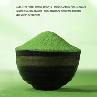 Poudre de Matcha Naturelle Professionnelle Résistante à la Chaleur, Vente Chaude, 200g ℃   Matcha résistant à la chaleur pour la pâtisserie et la fabrication de desserts