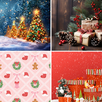 Fond en Tissu Tendu Personnalisé pour Fournitures de Décoration de Noël, Housse de Fond d'Écran Rapide pour Spectacle