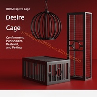 Cage de Contrainte en Fer à Thème BDSM pour Chambre, Instrument de Punition et de Torture, Compatible Dropshipping