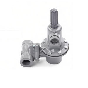 Regolatore di Pressione per Bombole GPL, Regolatore di Gas Industriale - Product Image 5