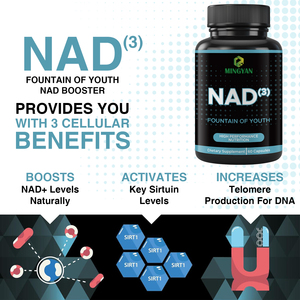 Suplemento de Mantenimiento Energético para Adultos OEM/ODM, Cápsulas Naturales de NAD3 de Alta Calidad Sin Gluten para Niños, Mujeres Embarazadas - Product Image 3