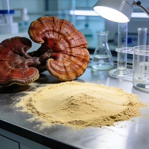 Ingrediente Cosmético Avanzado, Extracto de Vesículas de Champiñones en Polvo con pH de 5.0-6.5, Nutritivo para el Crecimiento del Cabello y Antienvejecimiento - Product Image 1