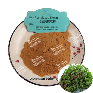 Oem חסינות תמיכה תוספי צמחים תוספי תזונה טבעי תמצית 30:1 תמצית <span class=keywords><strong>Purslane</strong></span> - Product Image 1