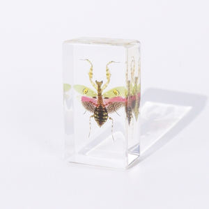 Pisapapeles de insectos reales, <span class=keywords><strong>flor</strong></span> enjoyada, espécimen de resina <span class=keywords><strong>Mantis</strong></span>, herramientas educativas para la enseñanza de Biología - Product Image 2