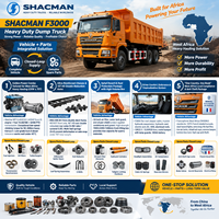 Camion benne poids lourd SHACMAN F3000 8x4 400HP Euro2 avec essieu 16T pour le Mali, le Niger, la Côte d'Ivoire - Fournisseur de camions bennes et de pièces détachées