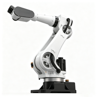Bras robotisé à 6 axes pour la coopération humain-machine, anti-collision, manipulateur automatique pour l'emballage et la manutention sur petite ligne de production