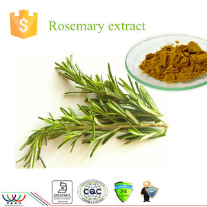 Top Quality Rosemary <strong>Extract</strong> Preservative Suppliers Organic Rosemary <strong>Extract</strong> <strong>25</strong>% Rosmarinic <strong>Acid</strong> Rosemary <strong>Extract</strong> Powder - Product Image 6