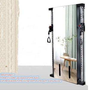 Multi System Function Trainer <b>Strength</b> Gym Single Wall Mounted Cable Crossover Trainer Machine - Product Image 5