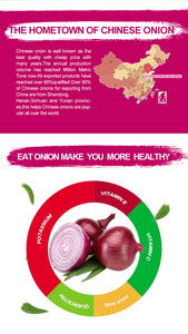 Trung Quốc Tươi Hành Tây Nhà Cung Cấp Nhập Khẩu Ấn Độ Bao Bì 10 20Kg Lưới Túi Màu Đỏ Trắng Vàng Hành Tây Cho Xuất Khẩu - Product Image 6