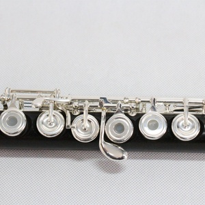 Messa a fuoco di alta qualità pronto per la spedizione FFL-350S strumento flauto ebano placcato argento flauto testa di ebano giunto in legno flauto - Product Image 1