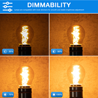 Haute Qualité Edison Dimmable Vintage Smart LED Ampoule 2700K Blanc Chaud Mini Globe E27 G45 Lumière 4W Ac Alimentation SMD Source