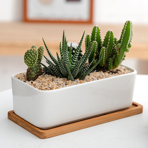 Chậu Trồng Hoa Lớn Màu Trắng Trong Nhà & Sân Vườn Chậu Trồng Cây Mọng Nước Bằng Gốm - Product Image 3