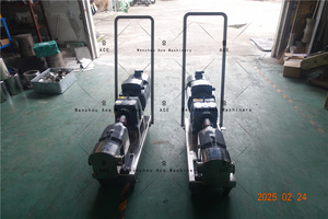 Bomba de lóbulo de rotor sanitaria de alta viscosidad Ace Bomba de engranajes de desplazamiento positivo para una transferencia de fluido eficiente de jarabe de azúcar - Product Image 6