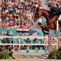 Obstacles équestres de haute qualité Poteaux en bois avec extrémités en métal Tailles personnalisées durables Prix d'usine Sauts de spectacle équestre