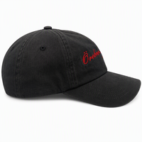 Casquette de baseball vintage déchirée brodée en 3D à 6 panneaux, respirante, imperméable, en coton doux, pour l'extérieur et la protection solaire – Grande Vente