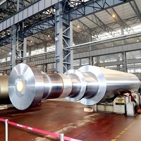 Arbre de rotor en acier forgé à usage intensif personnalisé arbre forgé à bride d'éolienne
