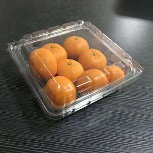 Bandeja de comida de plástico PET transparente para llevar Contenedor desechable para Sushi Candy Cake Cookie Sandwich Otros alimentos - Product Image 2